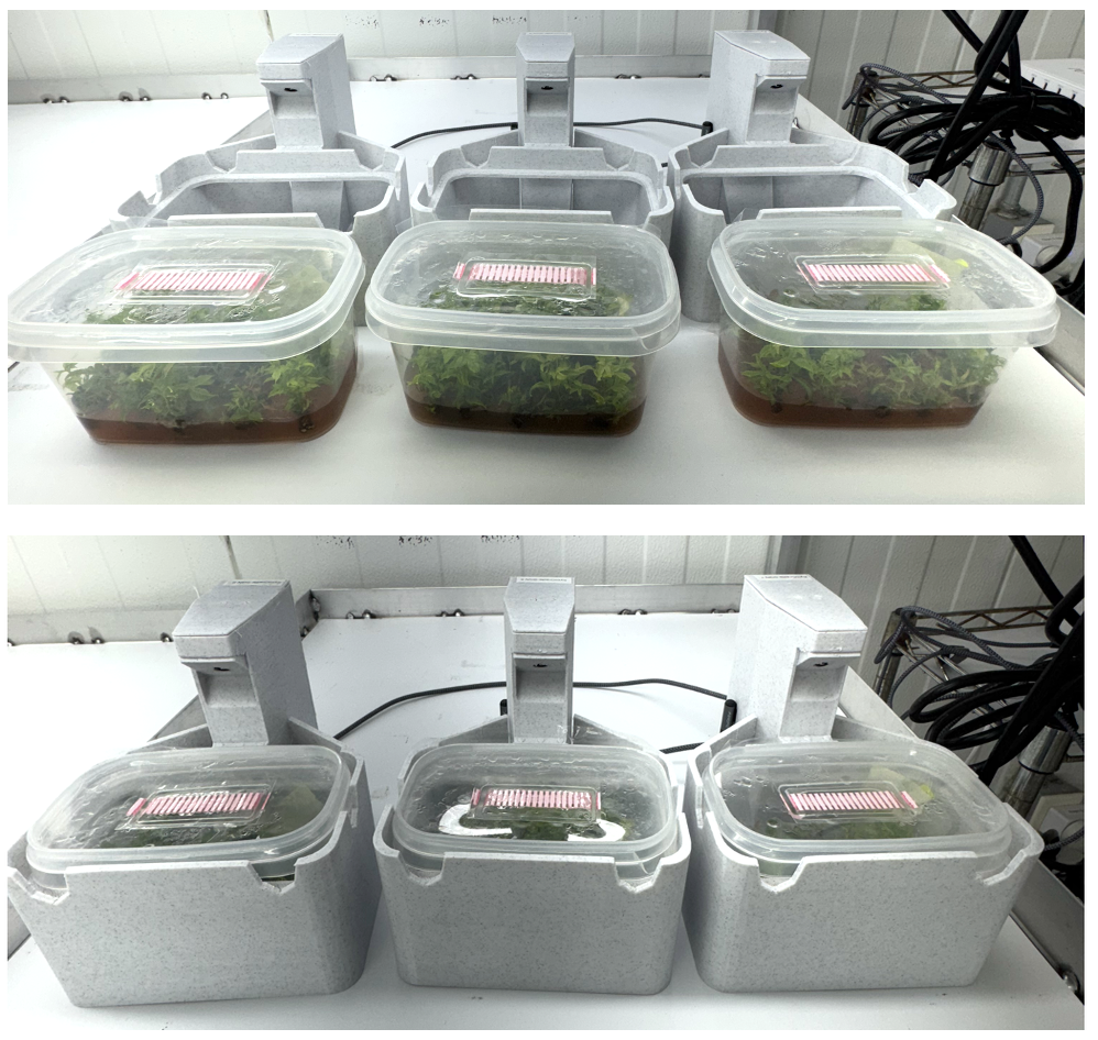 KymCradle devices for SacO2 containers