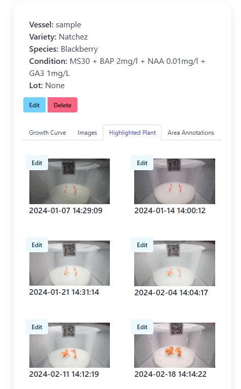 Highlighted plant, CV segmentation
