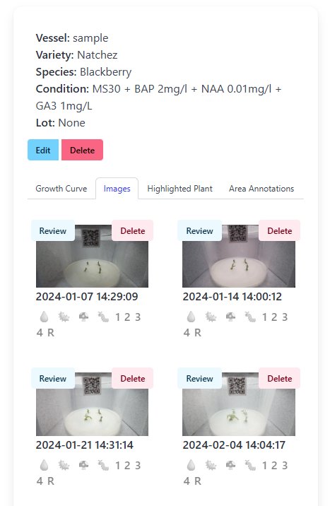 Image timeline, weekly captures