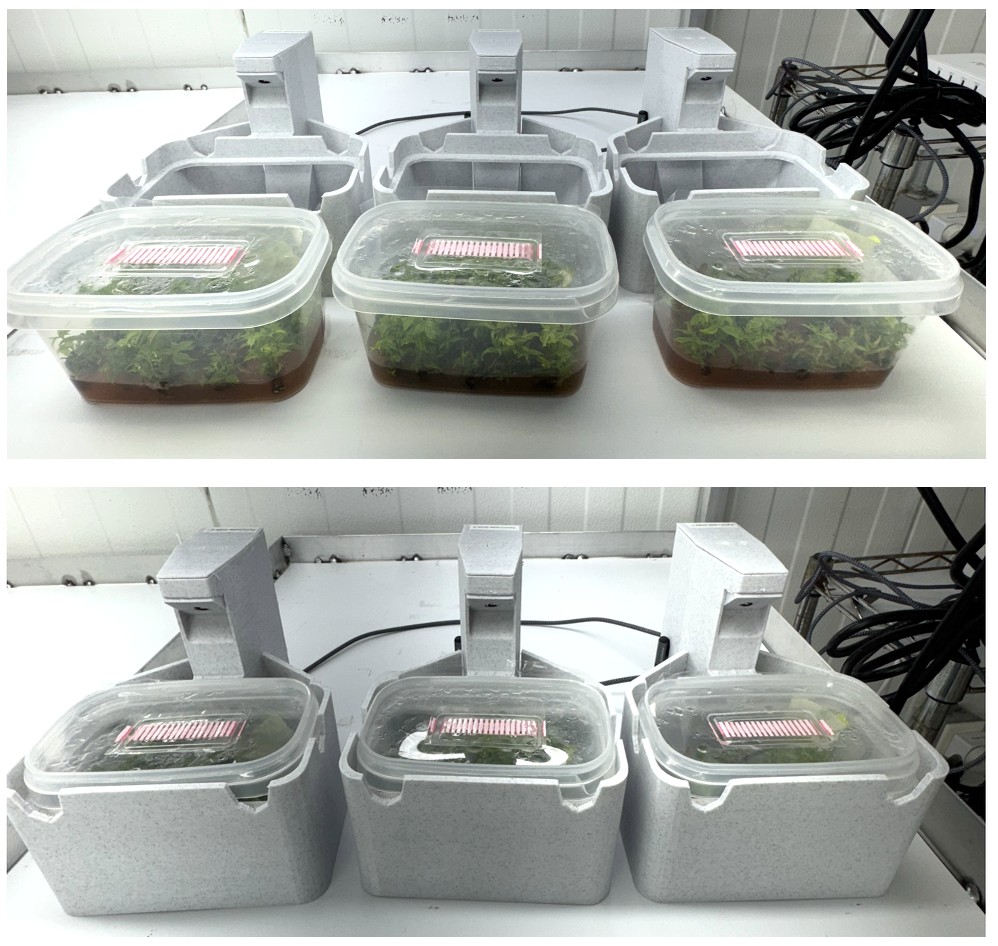 KymCradle devices for SacO2 containers